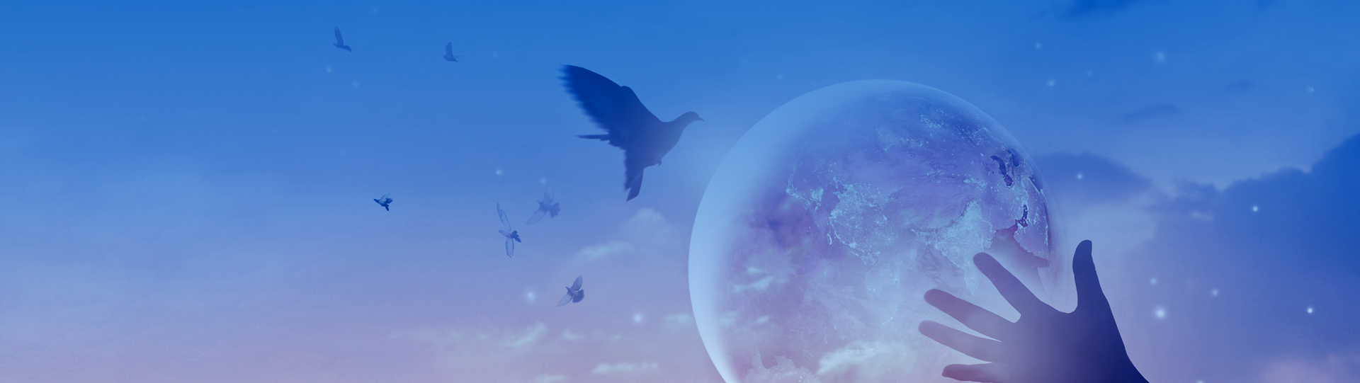 k豆钱包官方网站 - KDpay钱包