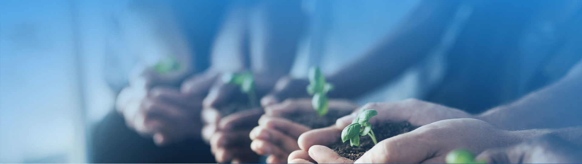 k豆钱包官方网站 - KDpay钱包